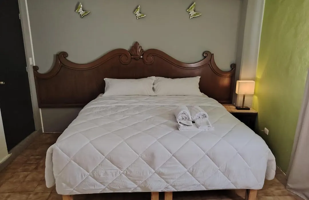 Cabo Tortuga Hotel Boutique-1