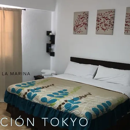 Cabo Tortuga Hotel Boutique-3
