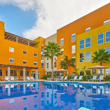City Express Suites By Marriott Cabo San Lucas-3